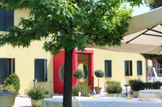 Trattoria Campagnaro